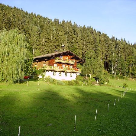 Ellmauhof Villa Pfarrwerfen Luaran gambar