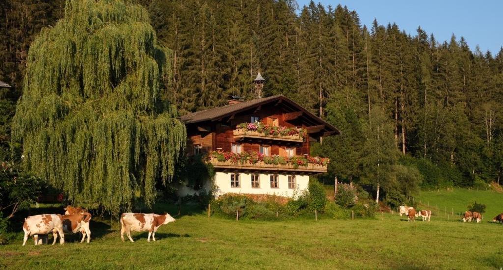 Ellmauhof Villa Pfarrwerfen Luaran gambar