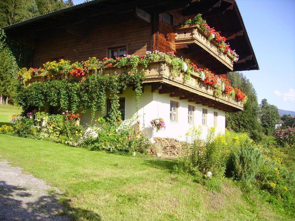 Ellmauhof Villa Pfarrwerfen Luaran gambar