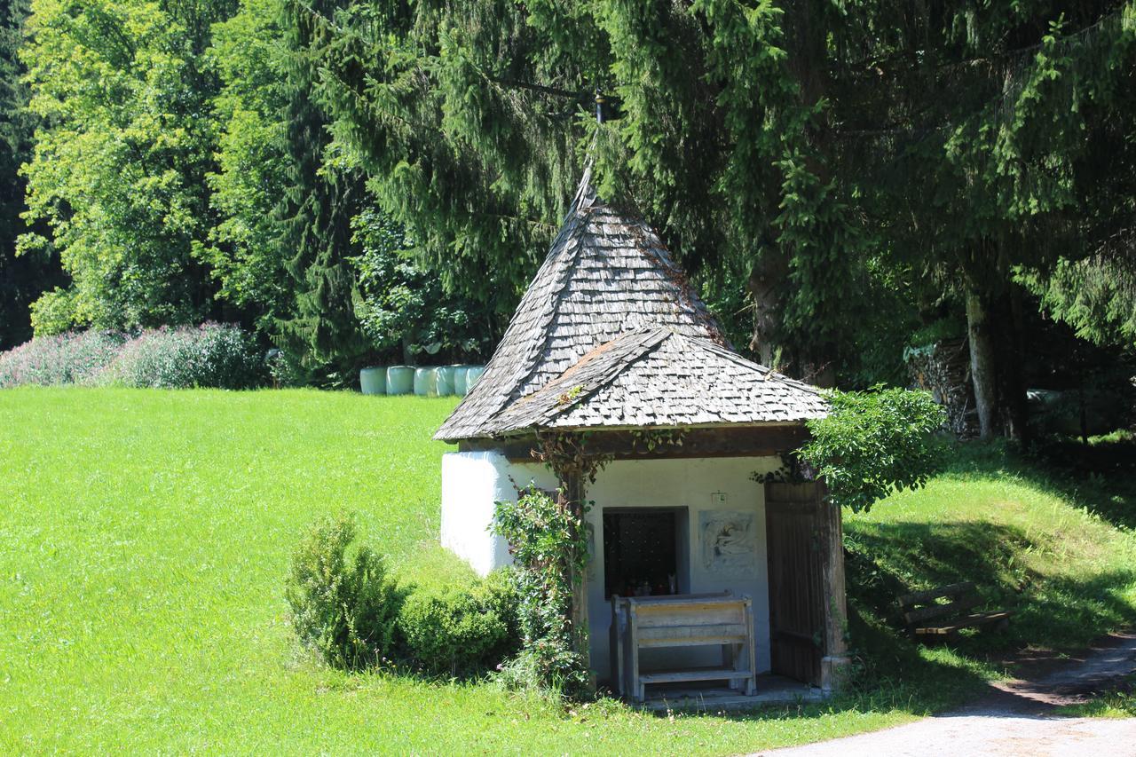 Ellmauhof Villa Pfarrwerfen Luaran gambar