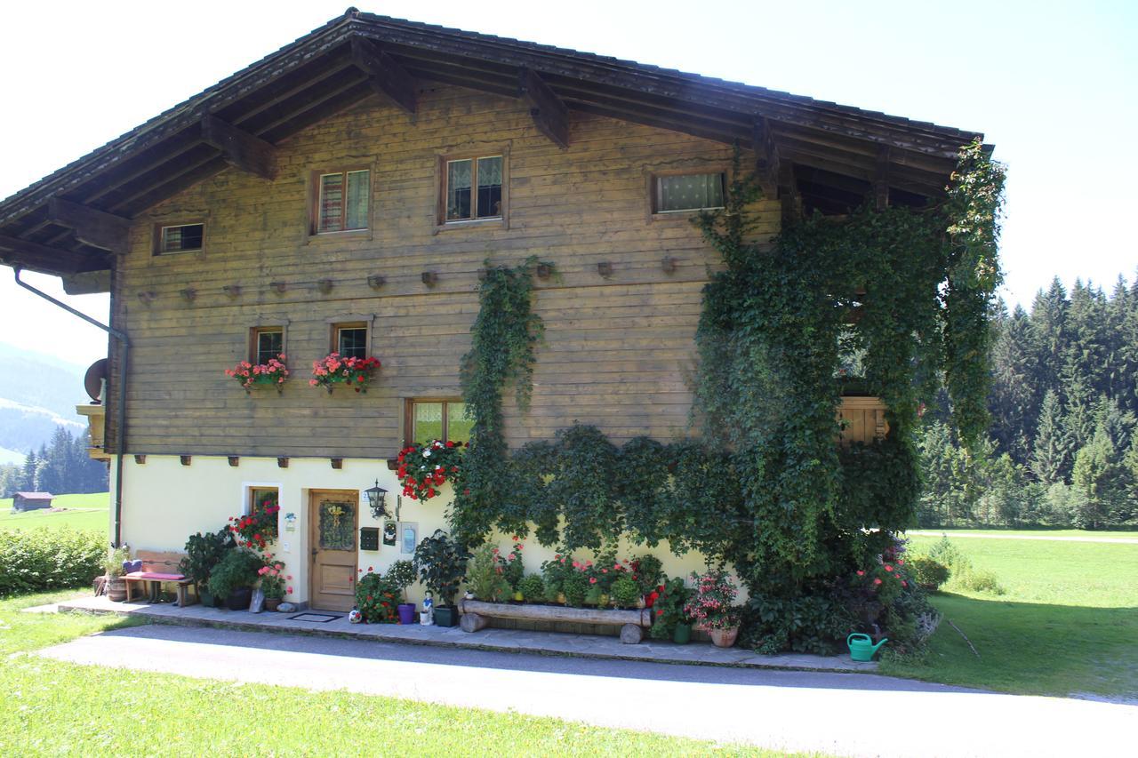 Ellmauhof Villa Pfarrwerfen Luaran gambar